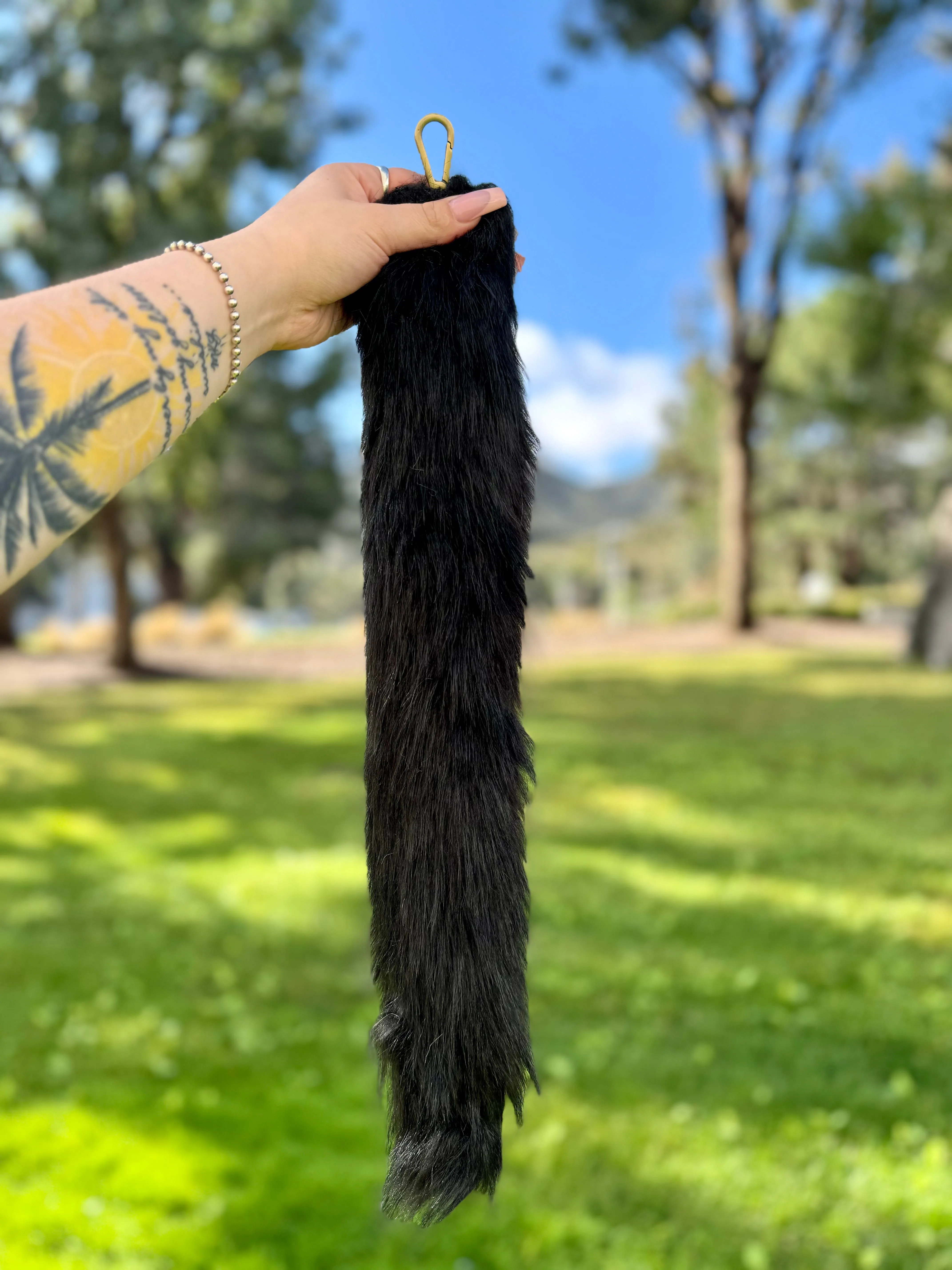 Husky Black Tail